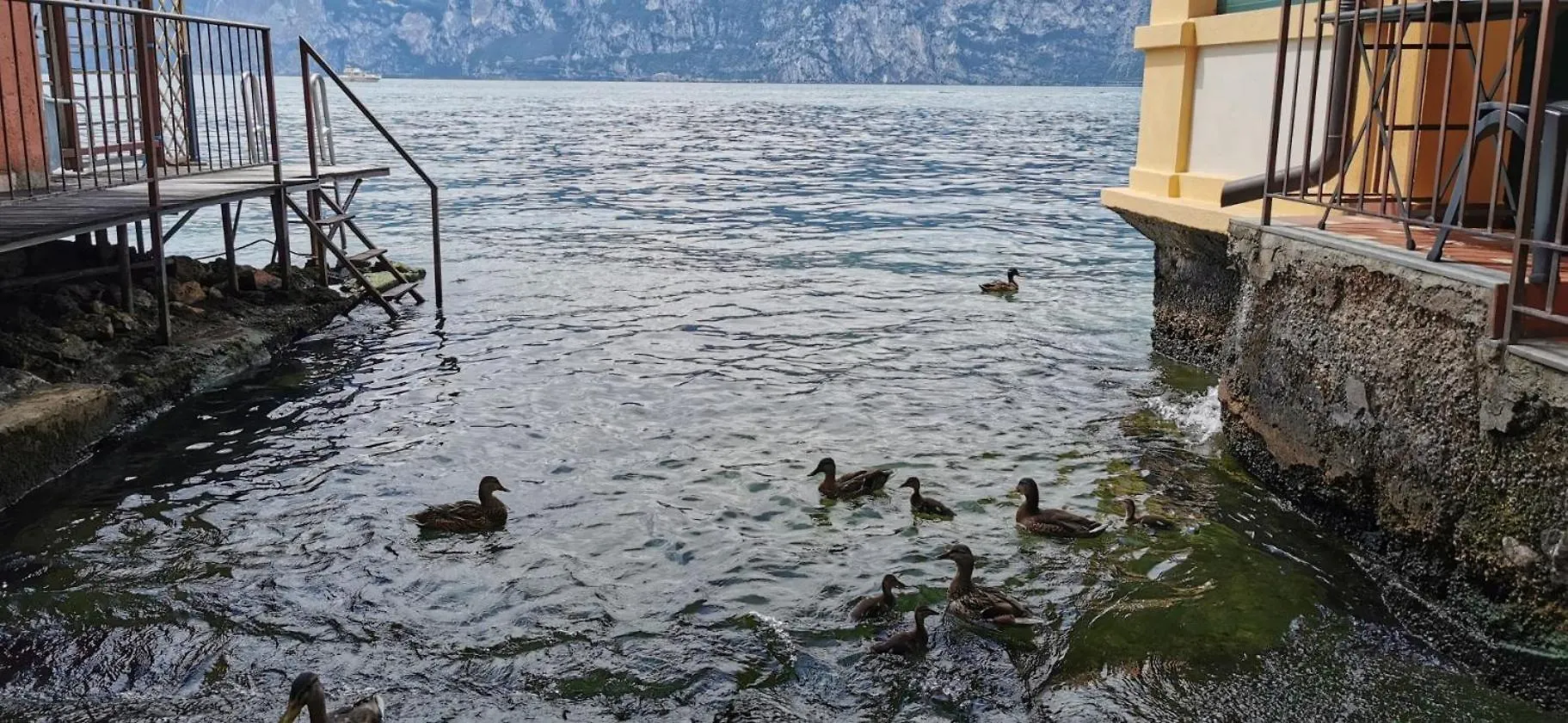 Amazing Lake View Apartment With Private Parking Malcesine